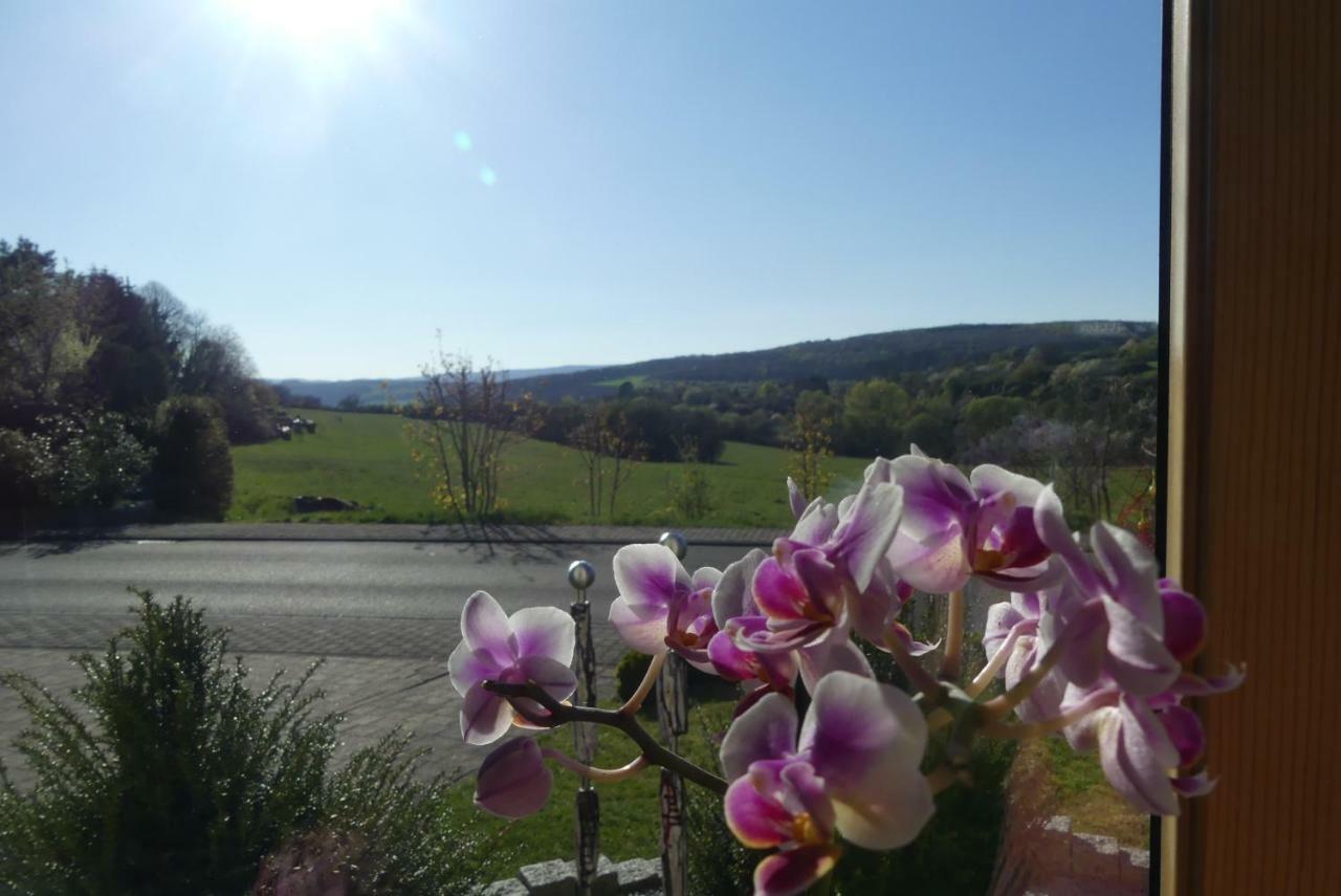 Appartamento Fewo Sophia Idar-Oberstein Esterno foto